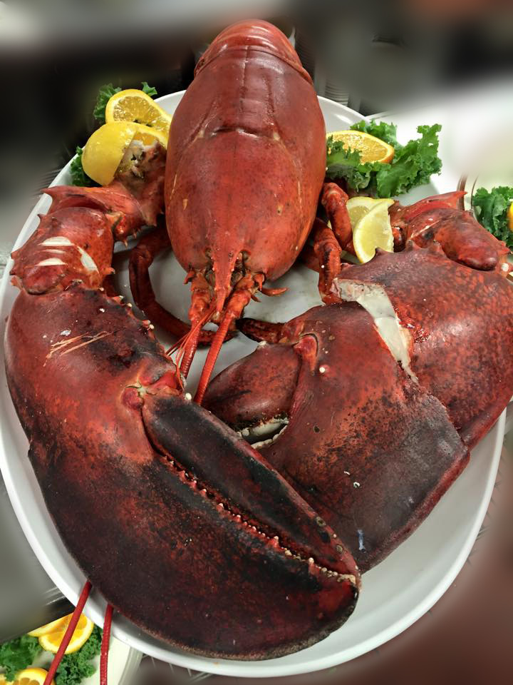 fresh lobster